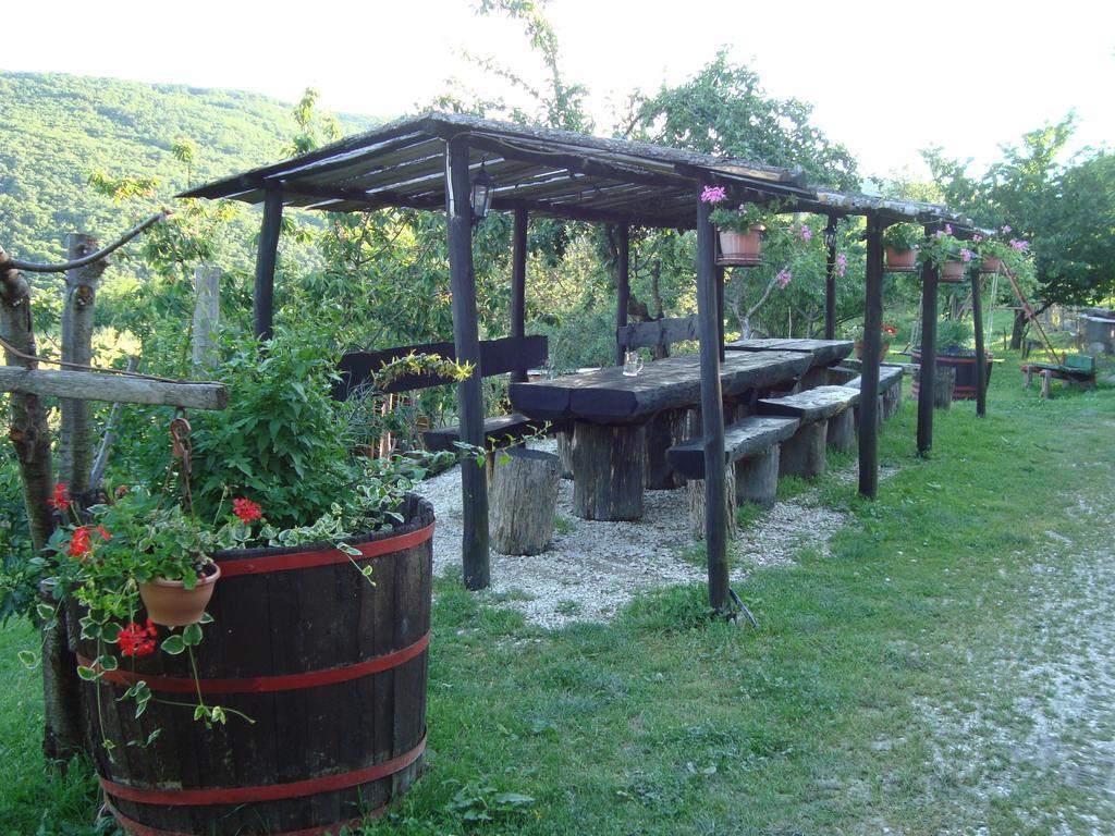 Agroturizam Toni Apartment Мотовун Стая снимка