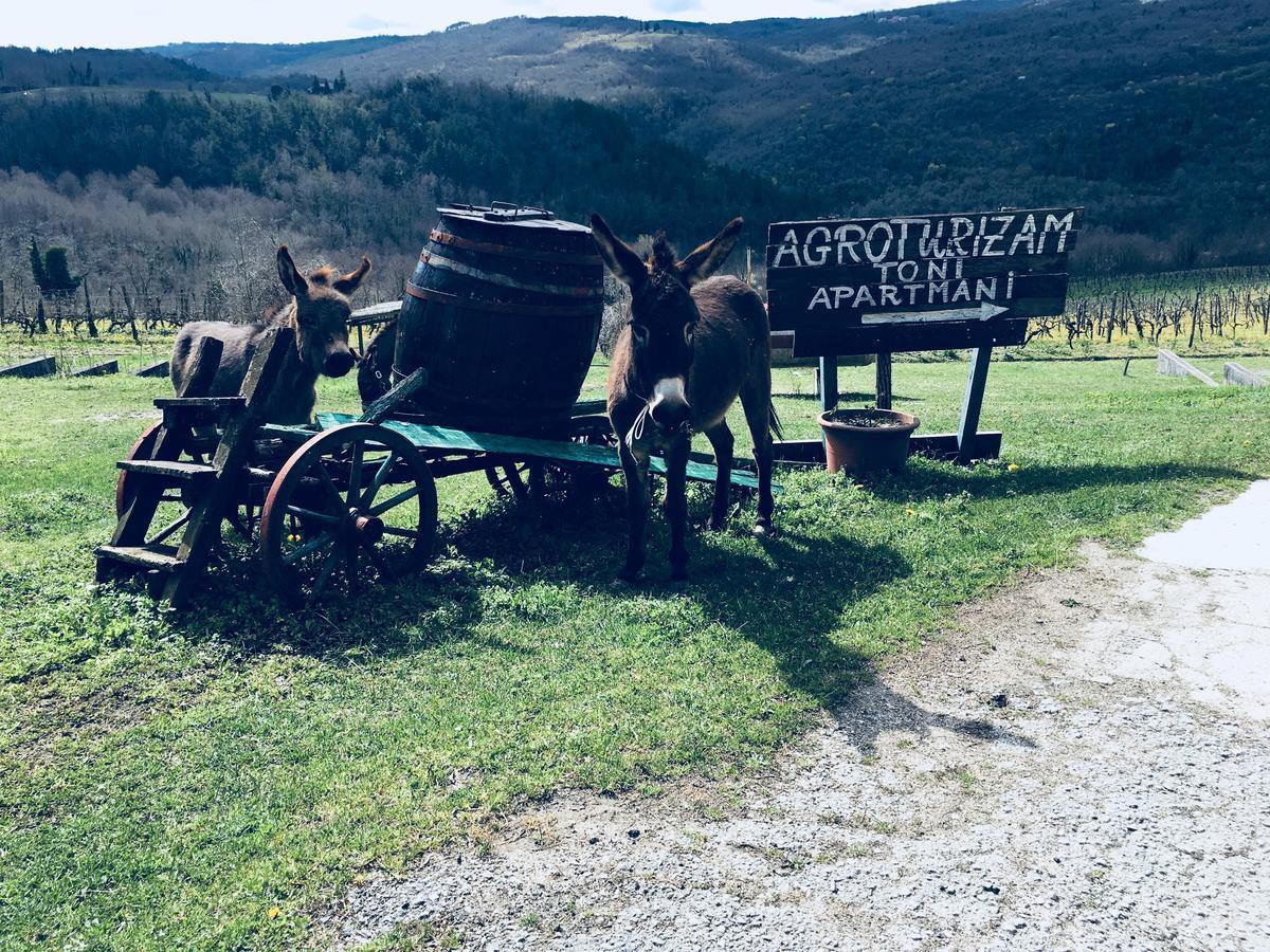 Agroturizam Toni Apartment Мотовун Екстериор снимка