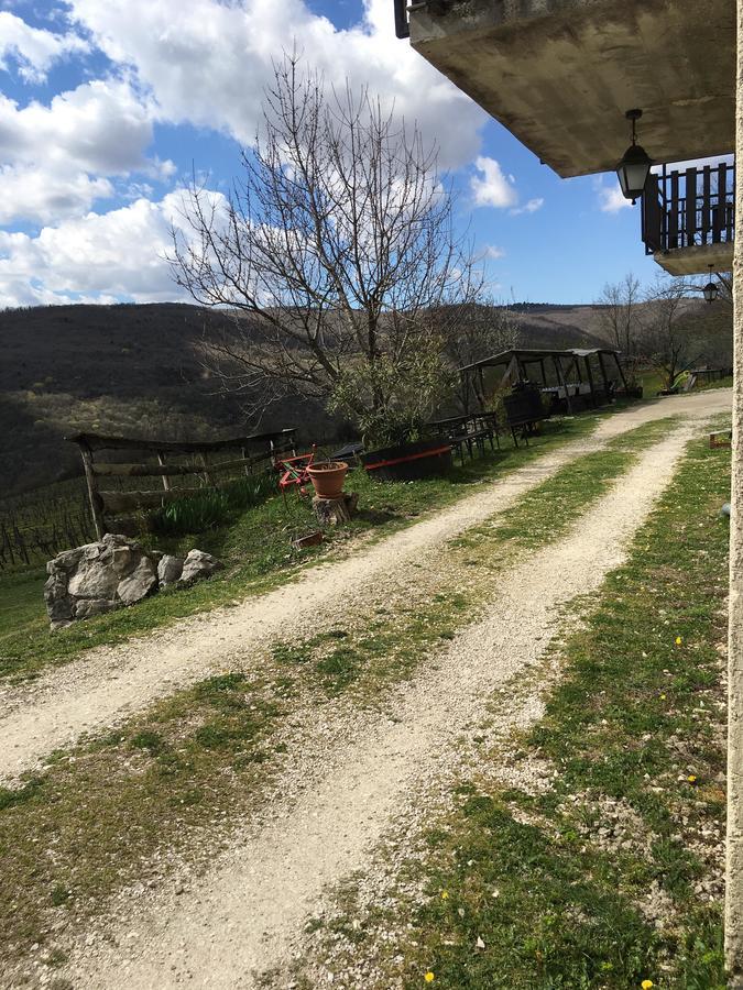 Agroturizam Toni Apartment Мотовун Екстериор снимка